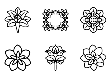 Exotic Flower