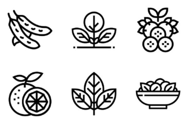 Иконки World Vegetarian Day