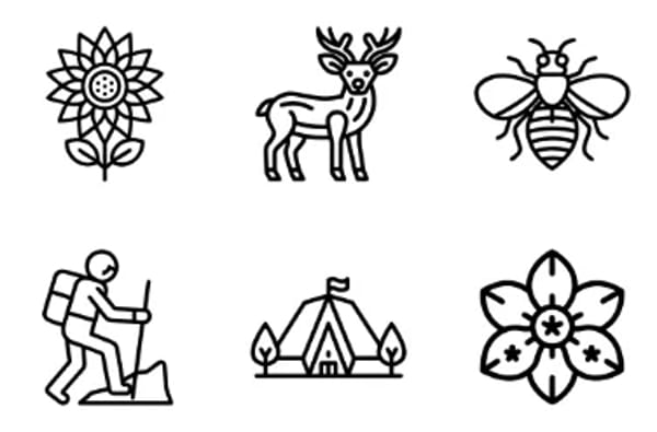 Nature And Flowers Icons