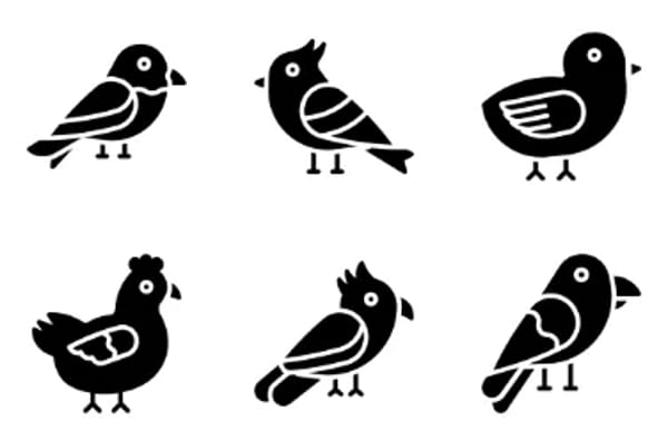 Bird Icons