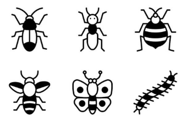 Insects Icons