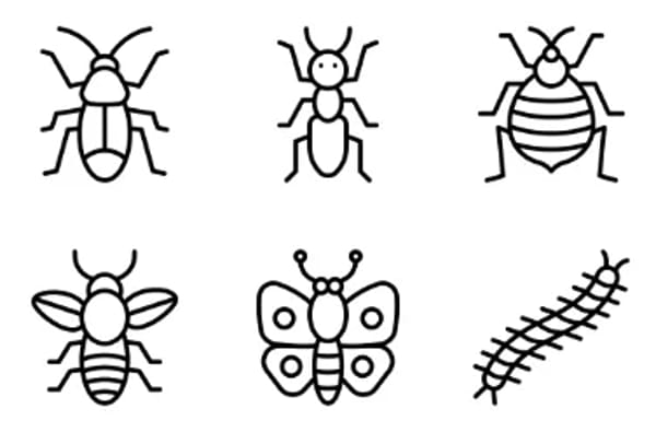 Insects Icons