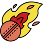 cricket ball icon