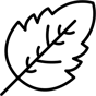 leaf icon
