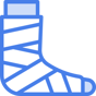 cast icon