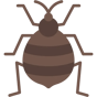 bedbug icon