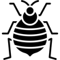 bedbug icon