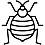 bedbug icon