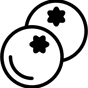 berry icon