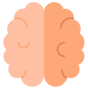 brain icon