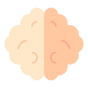 brain icon