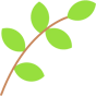 branch icon