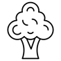 broccoli icon