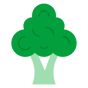 broccoli icon