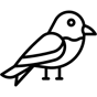 bird icon