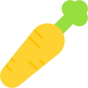 carrot icon