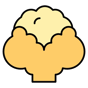 cauliflower icon