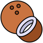 coconut icon