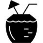Coconut icon