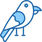 crow icon