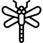 dragonfly icon