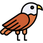eagle icon