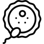 fertilization icon