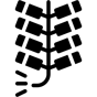 firecrackers icon