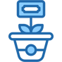 money plant icon