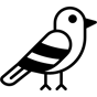 hummingbird icon