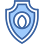 shield icon