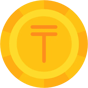 currency icon