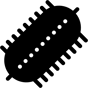 bacteria icon