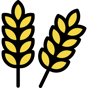 wheat icon