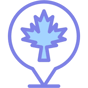 canada icon