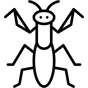 mantis icon