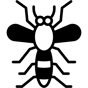 mosquito icon