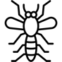 mosquito icon
