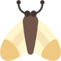moth icon