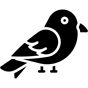 nightingale icon