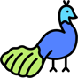 peacock icon