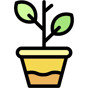 plant icon