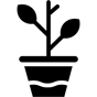 plant icon