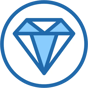 premium icon