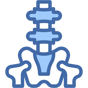 spine icon