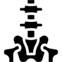 spine icon