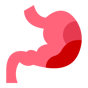 stomach icon