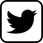 twitter icon
