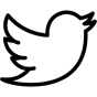twitter icon