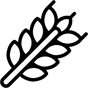 wheat icon